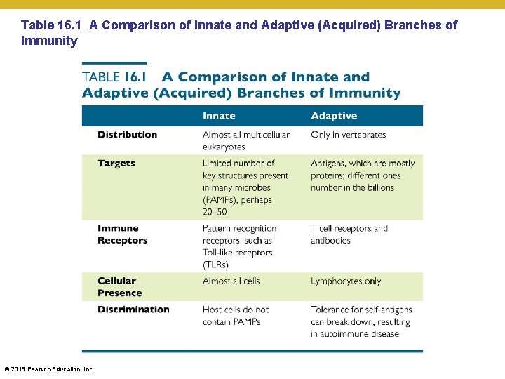 Table 16. 1 A Comparison of Innate and Adaptive (Acquired) Branches of Immunity ©