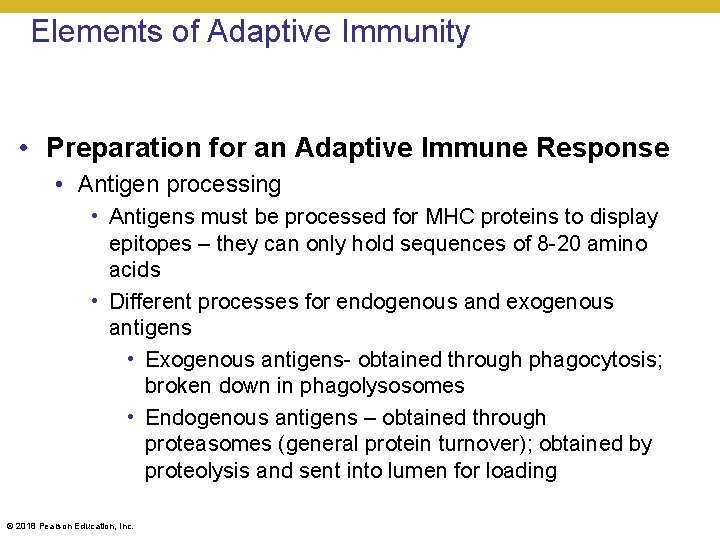 Elements of Adaptive Immunity • Preparation for an Adaptive Immune Response • Antigen processing