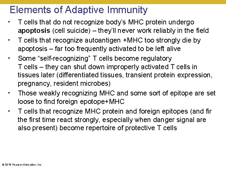 Elements of Adaptive Immunity • • • T cells that do not recognize body’s