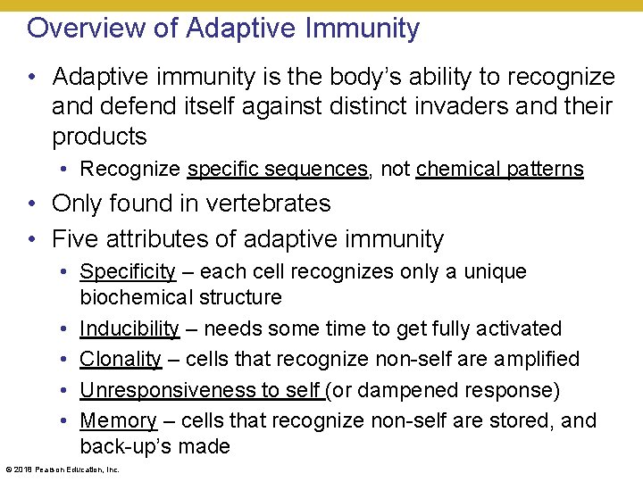 Overview of Adaptive Immunity • Adaptive immunity is the body’s ability to recognize and