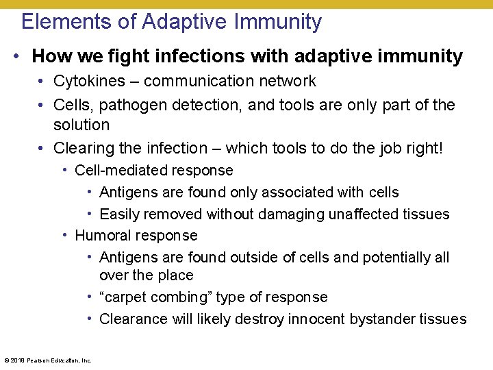 Elements of Adaptive Immunity • How we fight infections with adaptive immunity • Cytokines