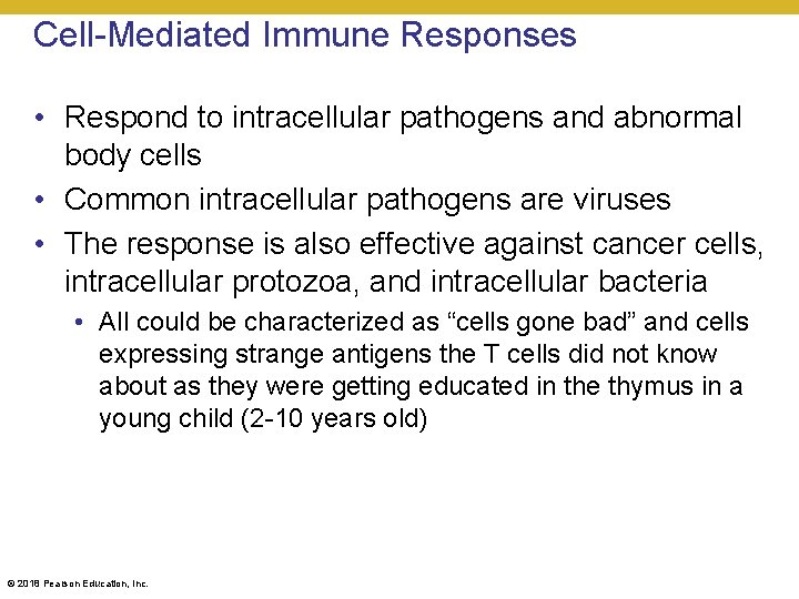 Cell-Mediated Immune Responses • Respond to intracellular pathogens and abnormal body cells • Common
