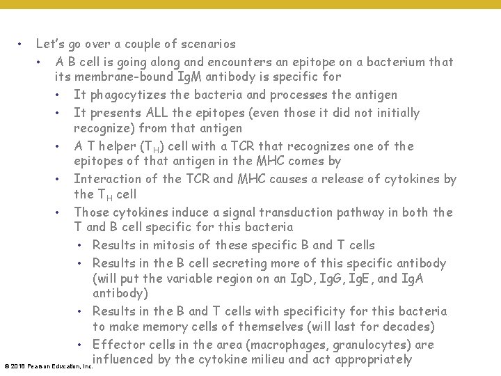 Let’s go over a couple of scenarios • A B cell is going along