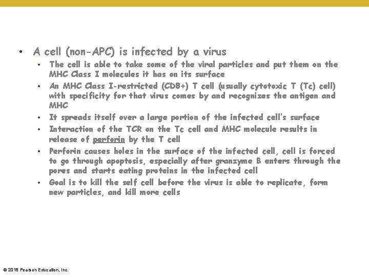  • A cell (non-APC) is infected by a virus • • • The
