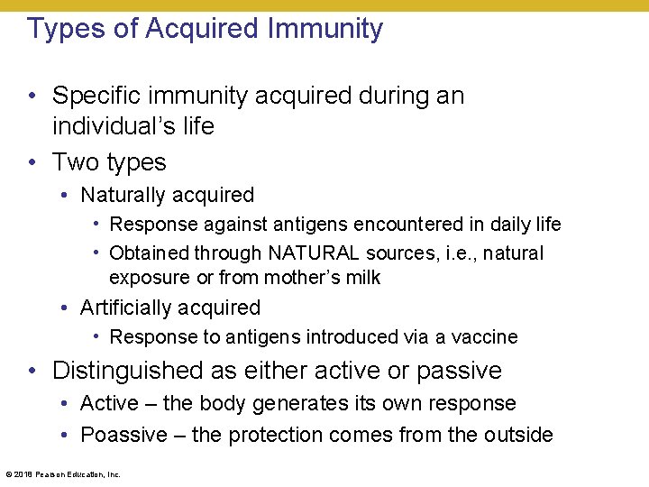 Types of Acquired Immunity • Specific immunity acquired during an individual’s life • Two
