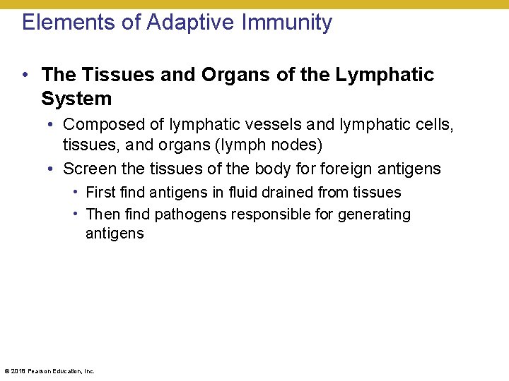 Elements of Adaptive Immunity • The Tissues and Organs of the Lymphatic System •