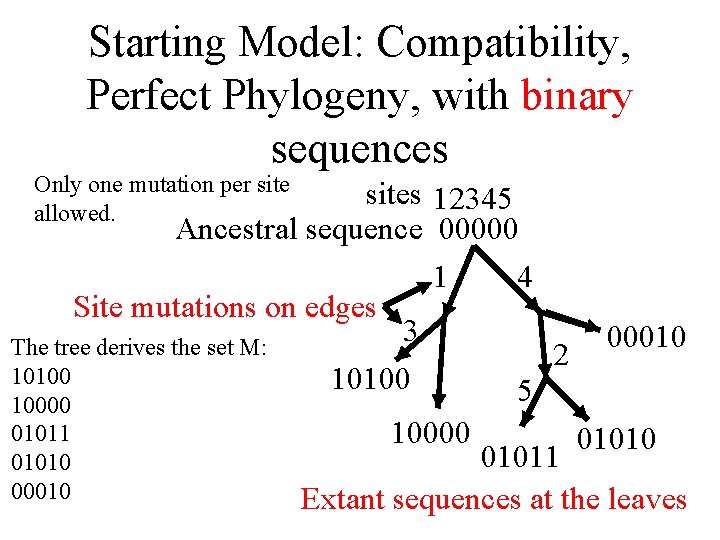 Starting Model: Compatibility, Perfect Phylogeny, with binary sequences Only one mutation per site allowed.