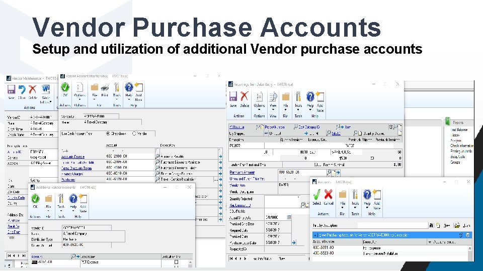 Vendor Purchase Accounts Setup and utilization of additional Vendor purchase accounts 