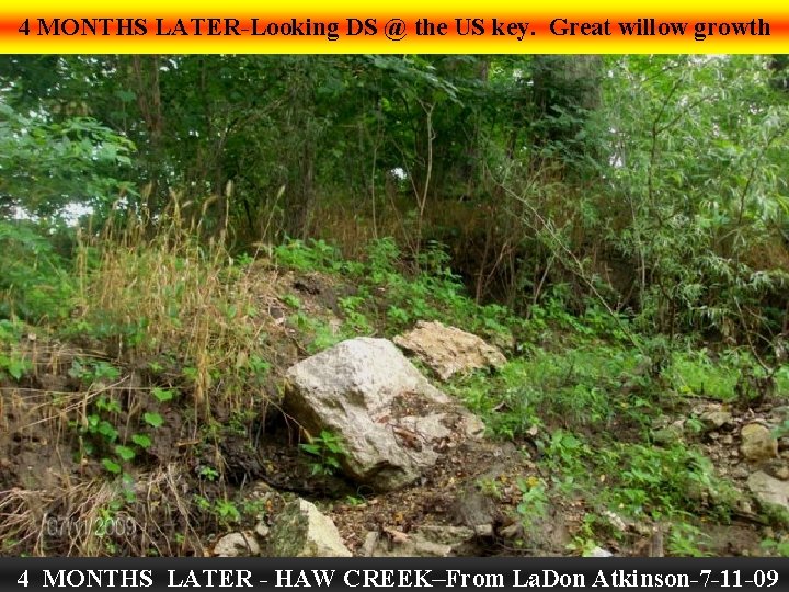 4 MONTHS LATER-Looking DS @ the US key. Great willow growth 4 MONTHS LATER