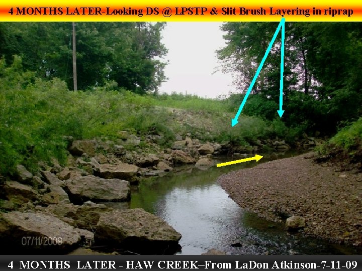 4 MONTHS LATER-Looking DS @ LPSTP & Slit Brush Layering in riprap 4 MONTHS