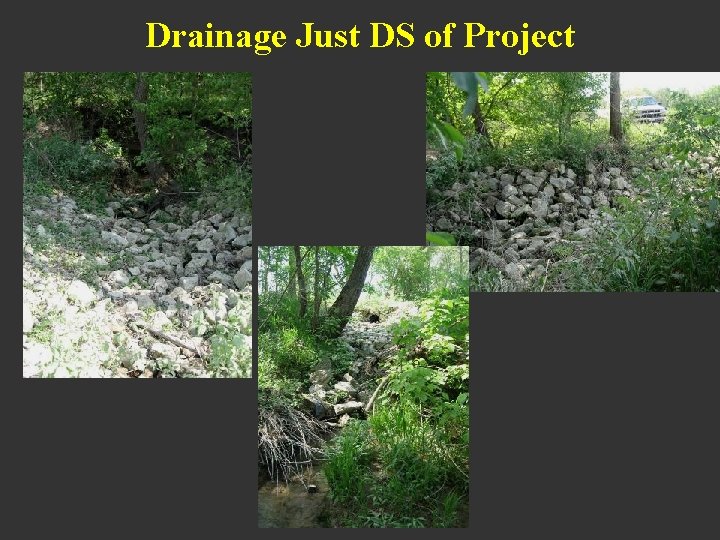 Drainage Just DS of Project 