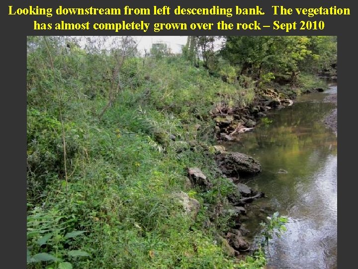 Looking downstream from left descending bank. The vegetation has almost completely grown over the