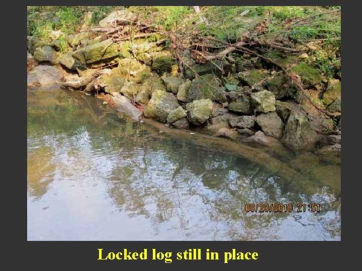 Locked log still in place 