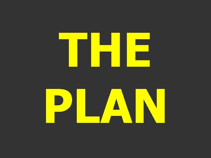 THE PLAN 