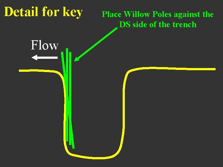 Detail for key Flow Place Willow Poles against the DS side of the trench