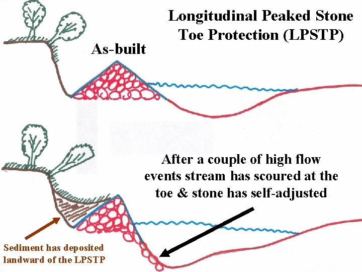 As-built Longitudinal Peaked Stone Toe Protection (LPSTP) After a couple of high flow events