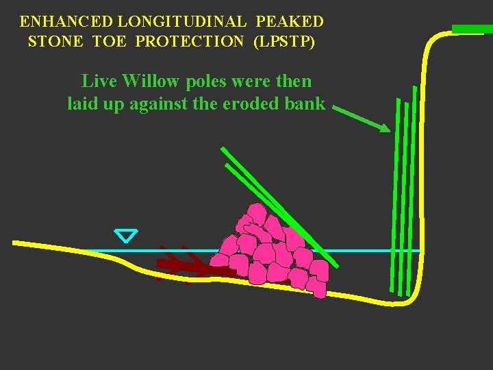 ENHANCED LONGITUDINAL PEAKED STONE TOE PROTECTION (LPSTP) Live Willow poles were then laid up