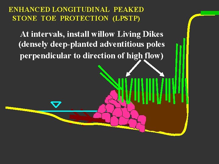 ENHANCED LONGITUDINAL PEAKED STONE TOE PROTECTION (LPSTP) At intervals, install willow Living Dikes (densely