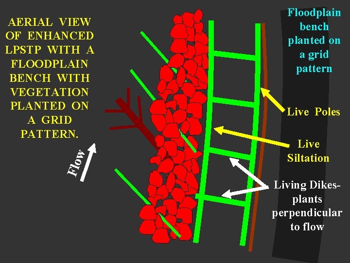 Flo w AERIAL VIEW OF ENHANCED LPSTP WITH A FLOODPLAIN BENCH WITH VEGETATION PLANTED