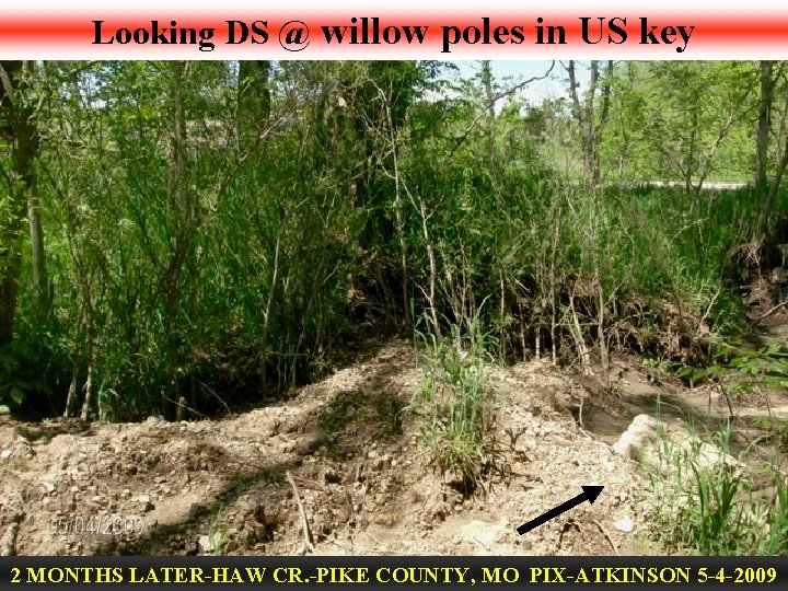 Looking DS @ willow poles in US key 2 MONTHS LATER-HAW CR. -PIKE COUNTY,
