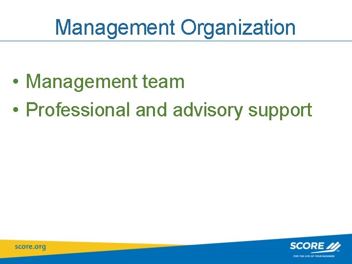 Management Organization • Management team • Professional and advisory support 