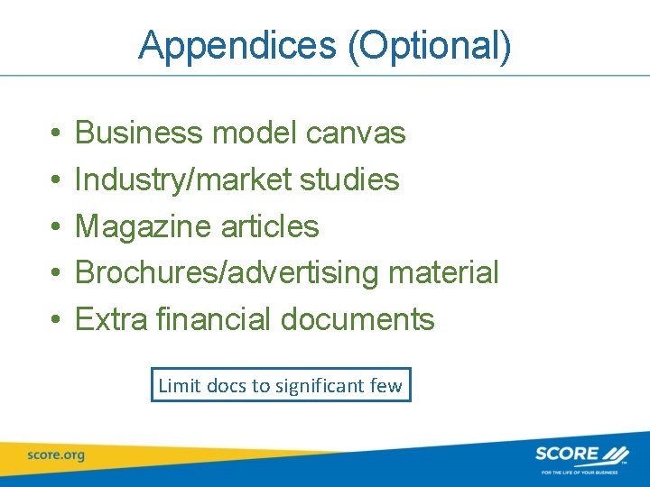 Appendices (Optional) • • • Business model canvas Industry/market studies Magazine articles Brochures/advertising material