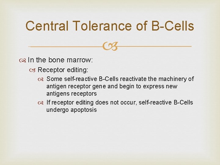 Central Tolerance of B-Cells In the bone marrow: Receptor editing: Some self-reactive B-Cells reactivate