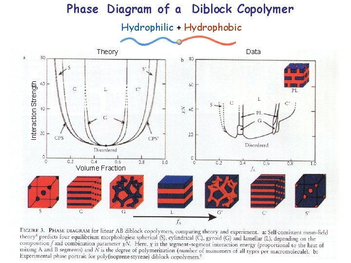 Phase Diagram of a Diblock Copolymer Hydrophilic + Hydrophobic Interaction Strength Theory Volume Fraction