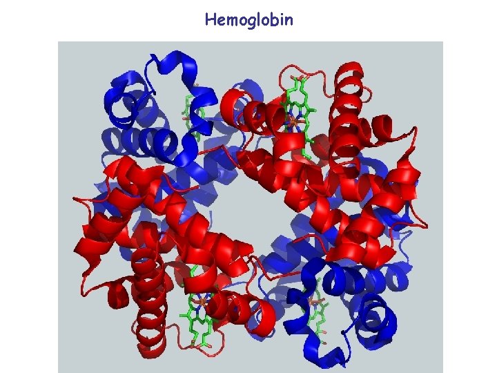 Hemoglobin 