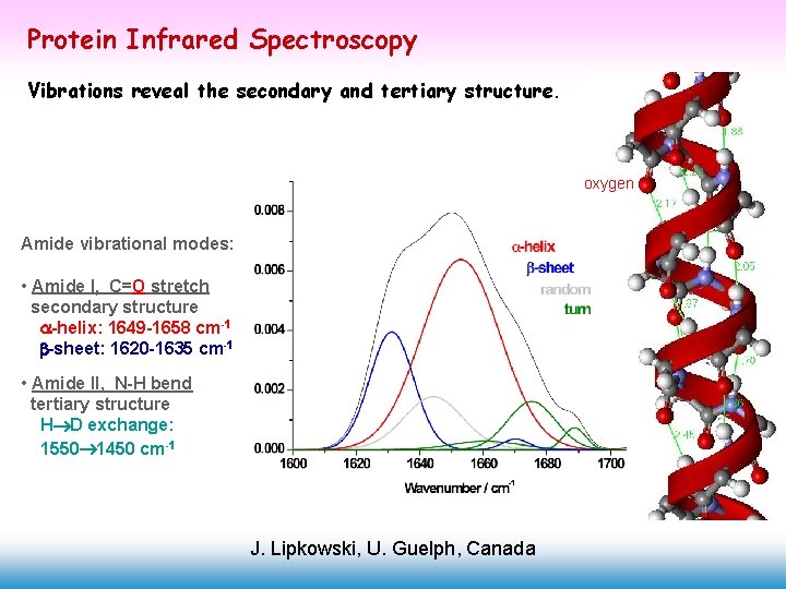 Protein Infrared Spectroscopy Vibrations reveal the secondary and tertiary structure. oxygen Amide vibrational modes: