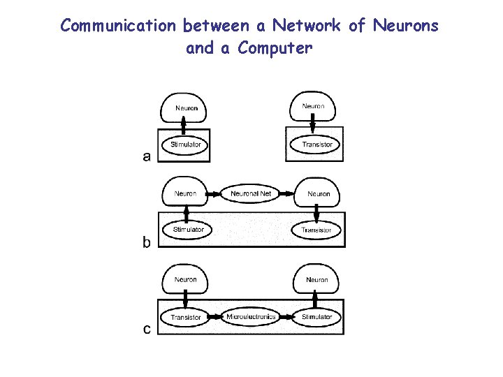 Communication between a Network of Neurons and a Computer 