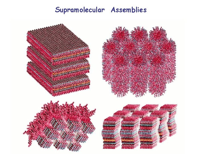 Supramolecular Assemblies 