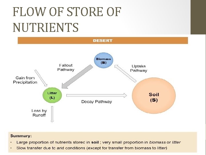 FLOW OF STORE OF NUTRIENTS 