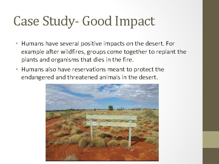 Case Study- Good Impact • Humans have several positive impacts on the desert. For