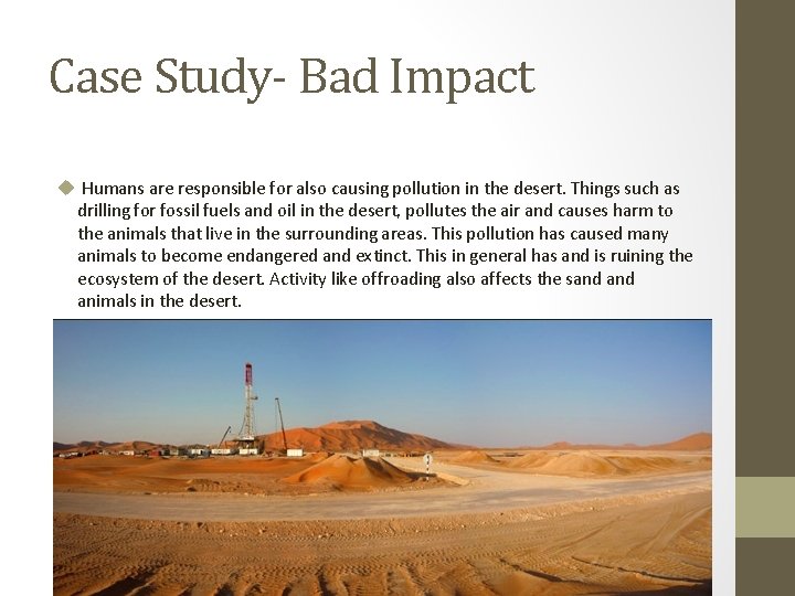 Case Study- Bad Impact u Humans are responsible for also causing pollution in the