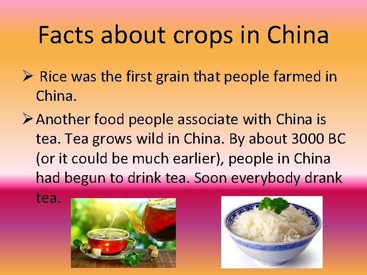 Facts about crops in China Ø Rice was the first grain that people farmed