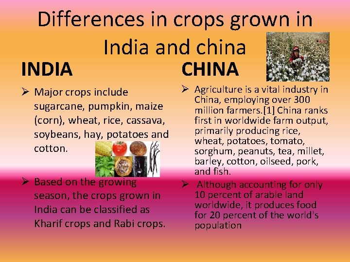 Differences in crops grown in India and china INDIA CHINA Ø Major crops include