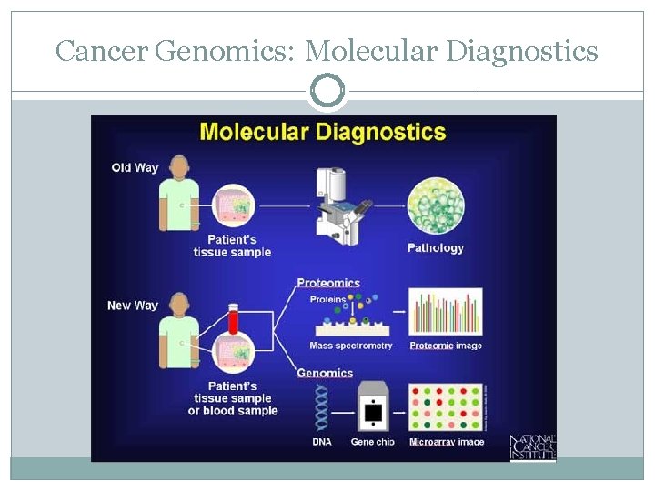 Cancer Genomics: Molecular Diagnostics 