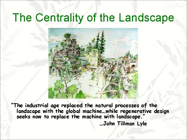 The Centrality of the Landscape “The industrial age replaced the natural processes of the