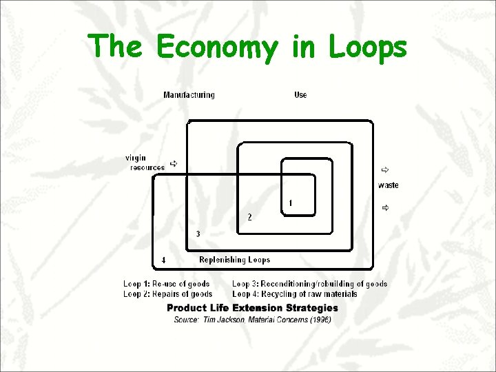The Economy in Loops 