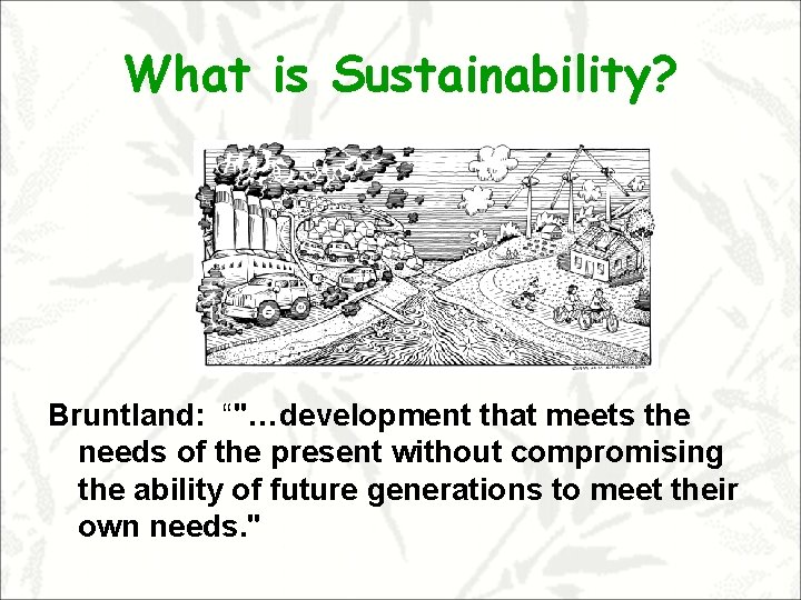 What is Sustainability? Bruntland: “"…development that meets the needs of the present without compromising