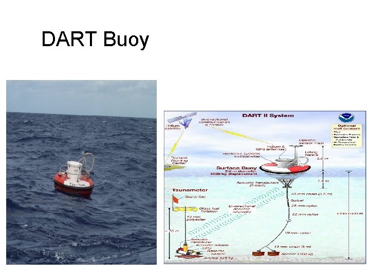 DART Buoy 