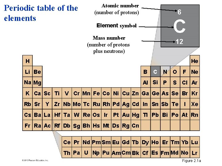 Periodic table of the elements Atomic number (number of protons) 6 C Element symbol