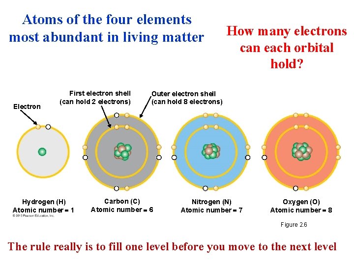 Atoms of the four elements most abundant in living matter Electron First electron shell