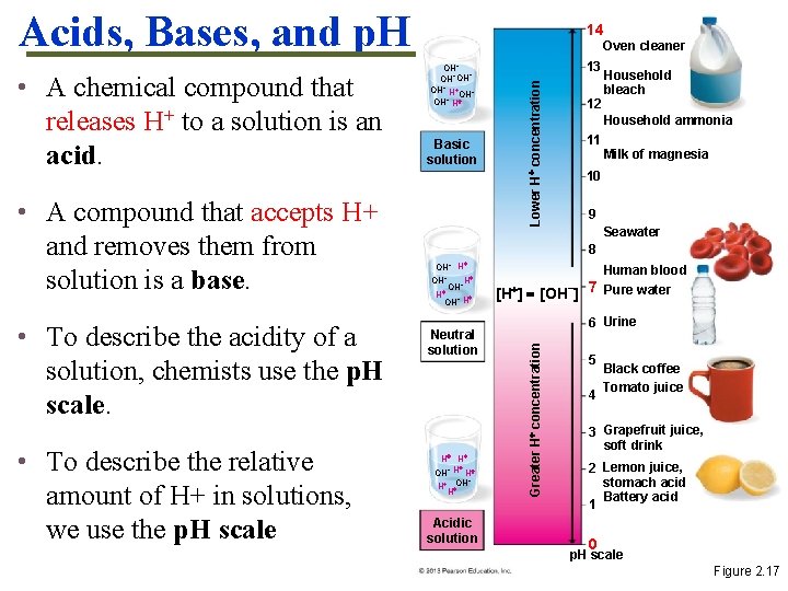 Acids, Bases, and p. H • To describe the acidity of a solution, chemists