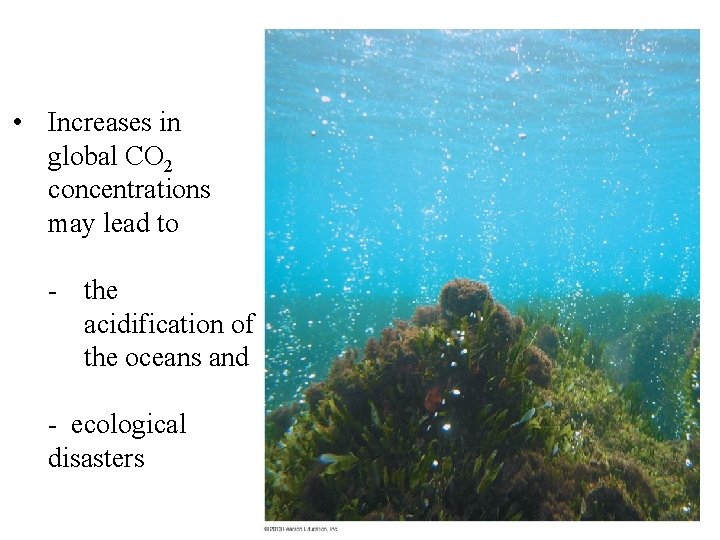  • Increases in global CO 2 concentrations may lead to - the acidification