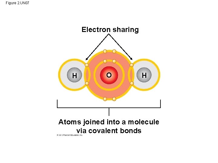 Figure 2. UN 07 Electron sharing H O H Atoms joined into a molecule