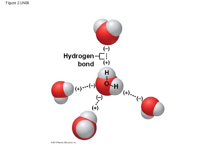 Figure 2. UN 08 Hydrogen bond 