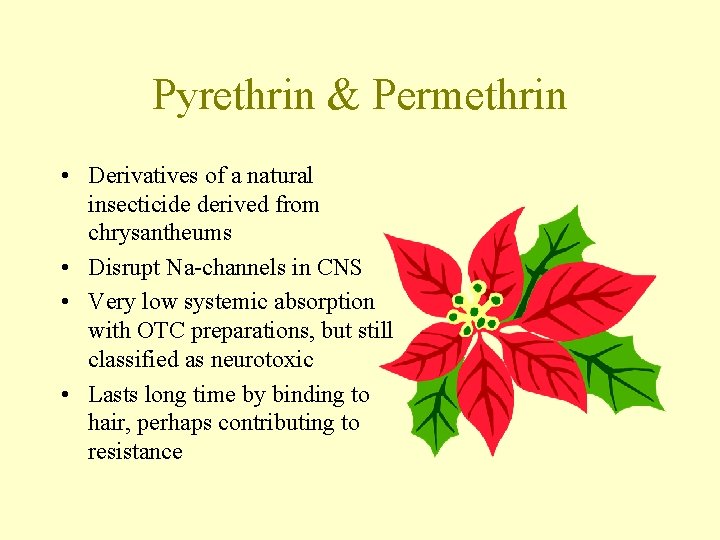 Pyrethrin & Permethrin • Derivatives of a natural insecticide derived from chrysantheums • Disrupt