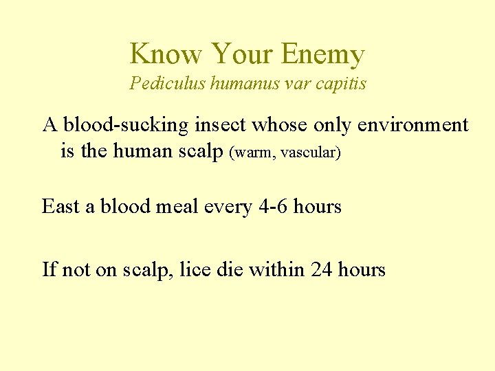 Know Your Enemy Pediculus humanus var capitis A blood-sucking insect whose only environment is